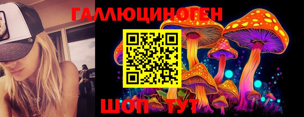 Галлюциногенные грибы Magic Shrooms Надым