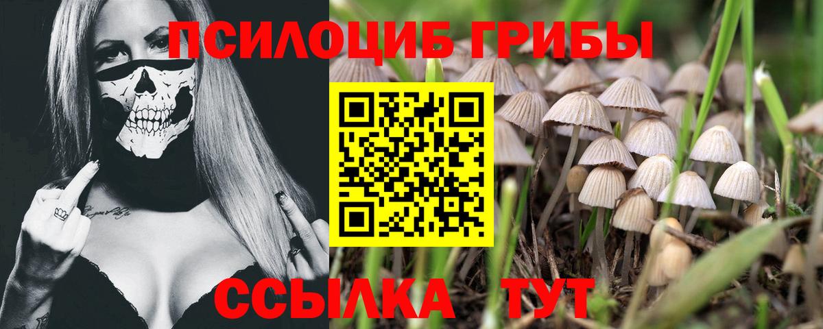 Галлюциногенные грибы ЛСД  Вход с VPN  Надым 